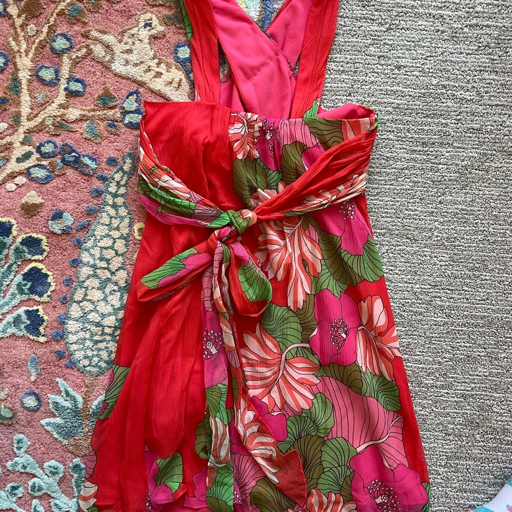 Tibi Pink and Red Floral Dress - Picture 7 of 16